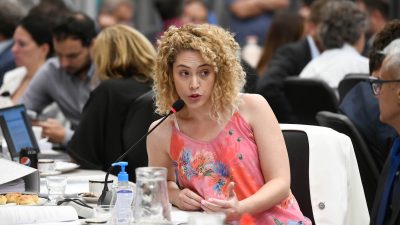 Lourdes Arrieta adelantó que votará contra el veto a la ley de Financiamiento Universitario