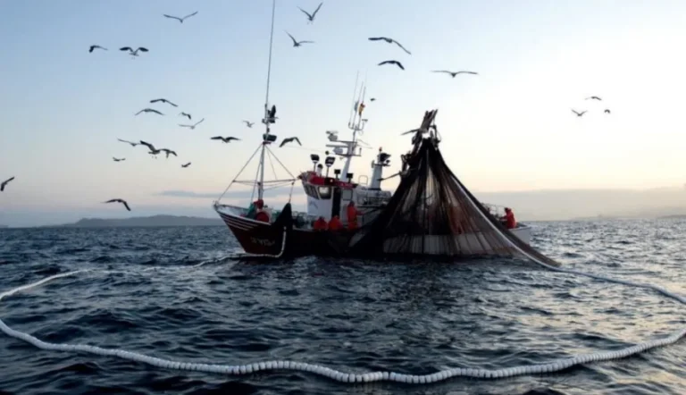 El Senado aprobó por unanimidad el acuerdo internacional de la FAO para combatir la pesca ilegal