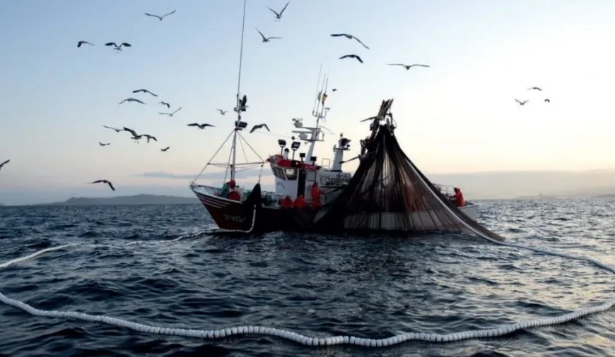 El Senado aprobó por unanimidad el acuerdo internacional de la FAO para combatir la pesca ilegal