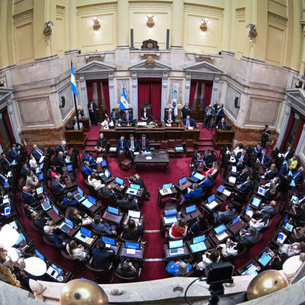 Senado sesiona: Mahiques, armas, deuda y dos tratados en el temario