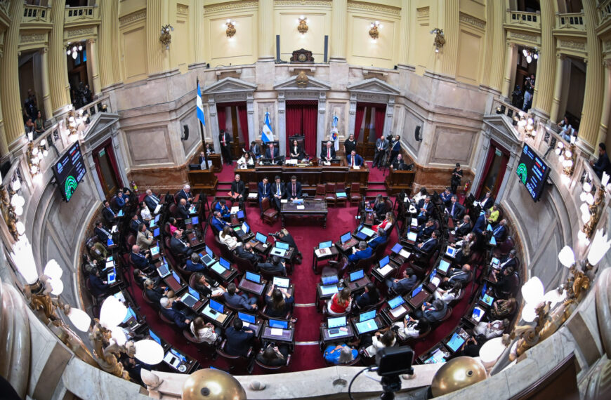 El Senado define ascensos militares clave y el pliego de Lucila Crexell como embajadora