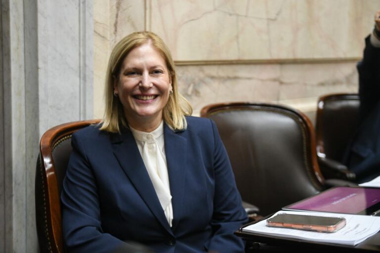 Gisela Scaglia busca instalar el debate de ficha limpia en diputados