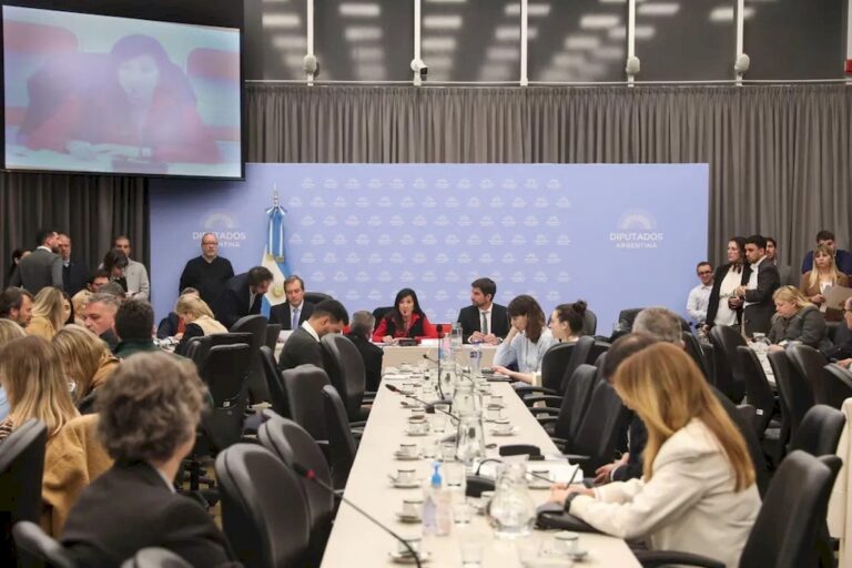 Nicolás Mayoraz y funcionarios del Ejecutivo debaten la Ley de Hojarasca en la Cámara de Diputados NCN.