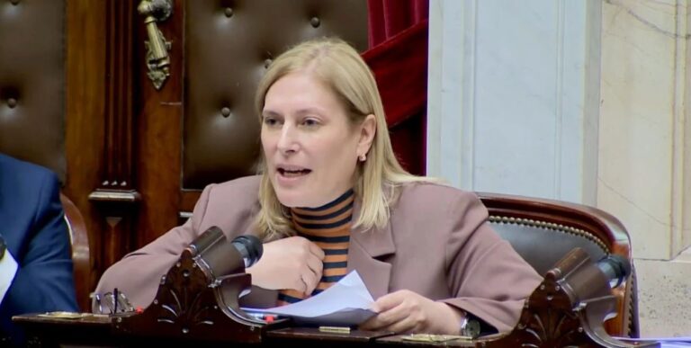 Gisela Scaglia interpela a Manuel Adorni en la Cámara de Diputados NCN