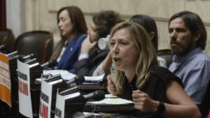 Myriam Bregman critica el proyecto de falsas denuncias en el Congreso NCN.