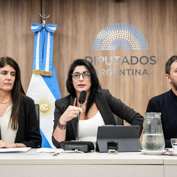 Plenario de comisiones de Relaciones Exteriores y Justicia debate tratado con Serbia NCN.