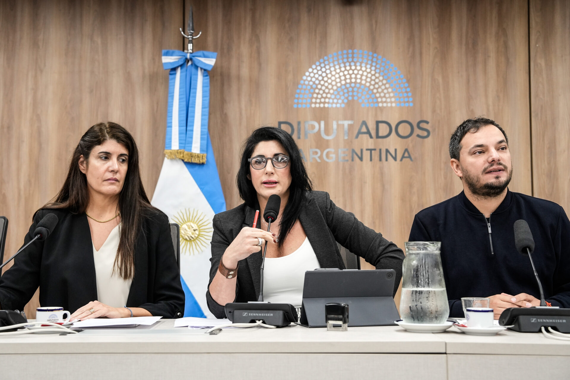 Plenario de comisiones de Relaciones Exteriores y Justicia debate tratado con Serbia NCN.