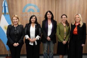 Diputados debatiendo en la Comisión de Cultura NCN
