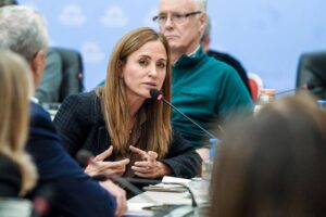 Especialistas médicos exponen sobre el ajuste en salud ante diputados NCN