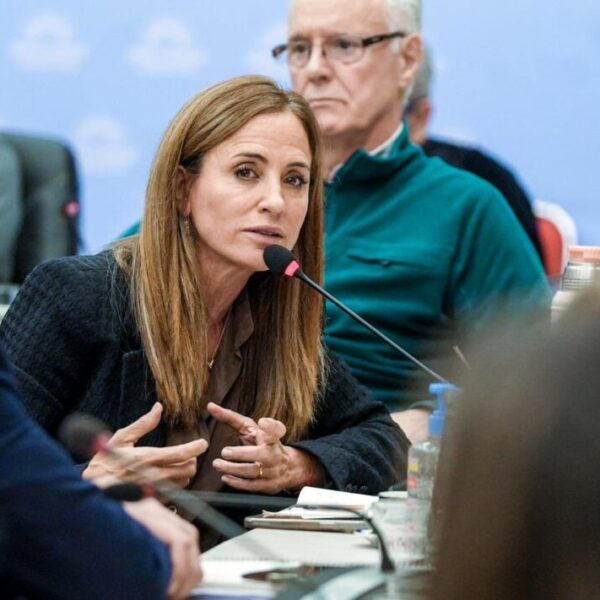 Especialistas médicos exponen sobre el ajuste en salud ante diputados NCN