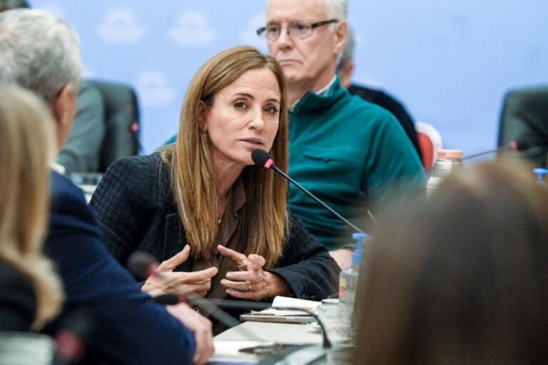 Especialistas médicos exponen sobre el ajuste en salud ante diputados NCN