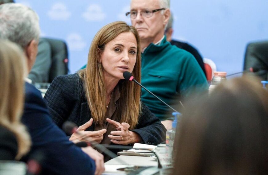 Especialistas médicos exponen sobre el ajuste en salud ante diputados NCN