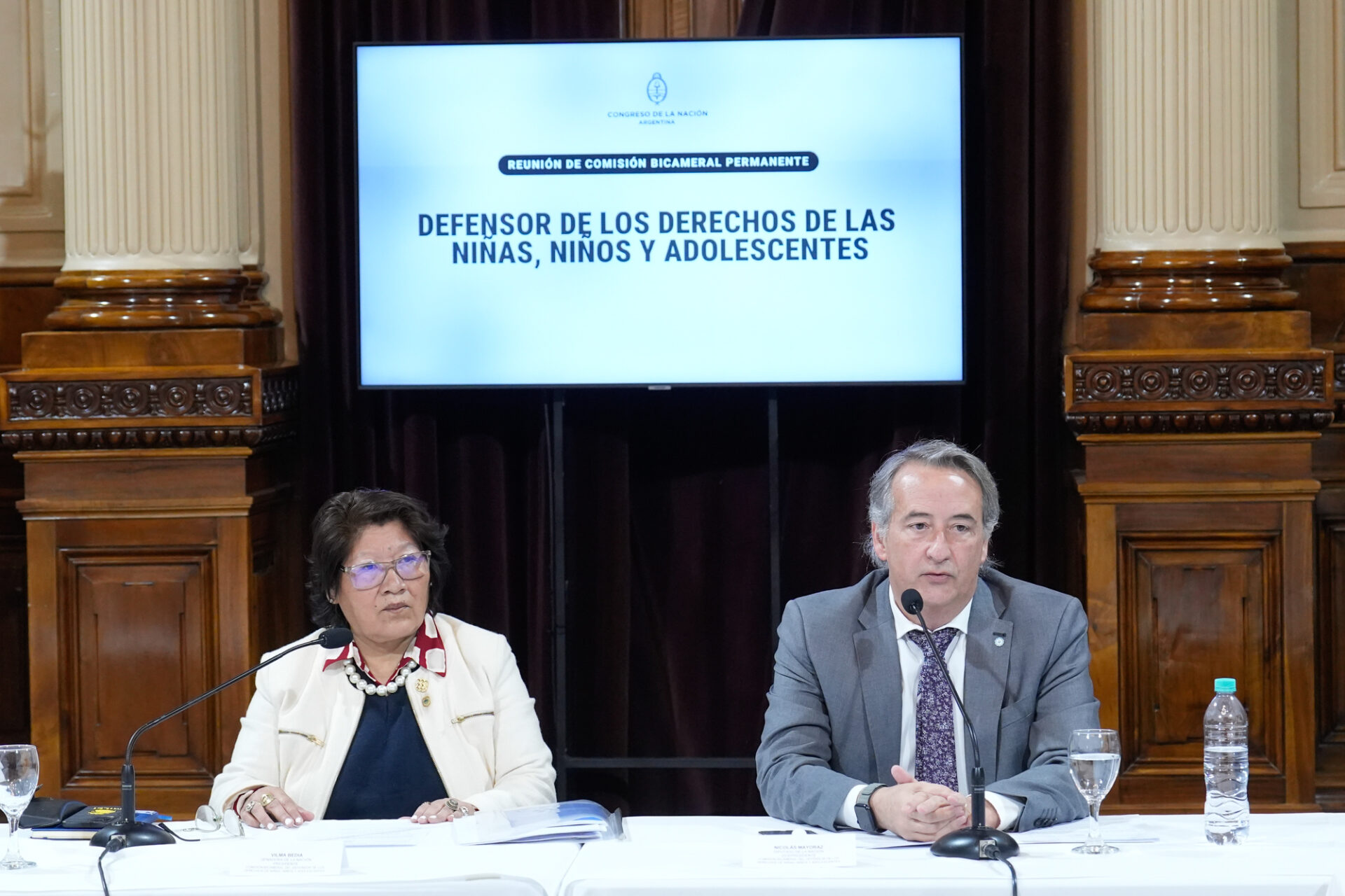 Concurso para Defensor de Niñez: LLA lo anuló y convoca uno nuevo entre impugnaciones