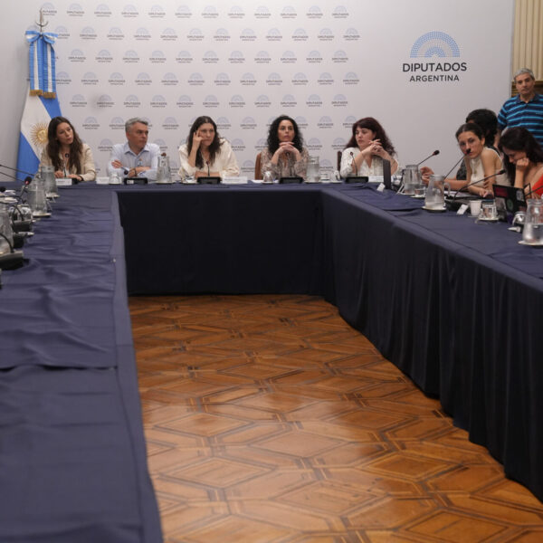 Violencia Vicaria y Falso SAP: Diputados debate en reunión informativa conjunta