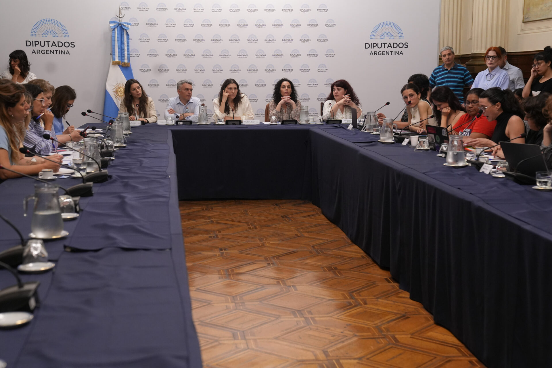 Violencia Vicaria y Falso SAP: Diputados debate en reunión informativa conjunta