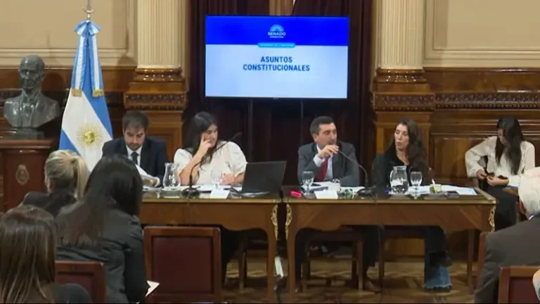 PASO: el Senado debatió la reforma y el oficialismo no suma los votos