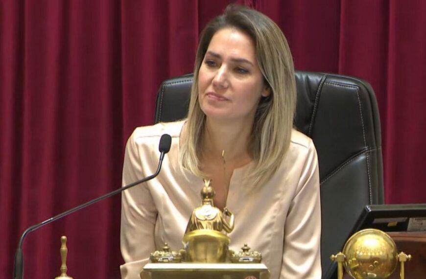 Carolina Losada fue denunciada penalmente por su proyecto de «falsas denuncias»