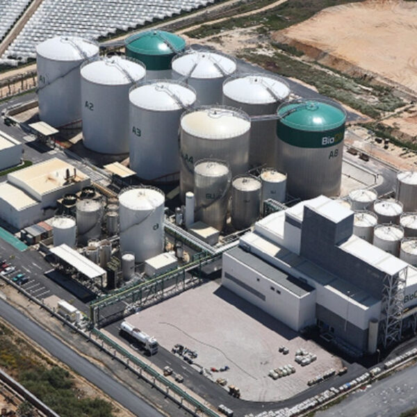 Nueva ley de biocombustibles: LLA propone desregular el mercado y subir los…