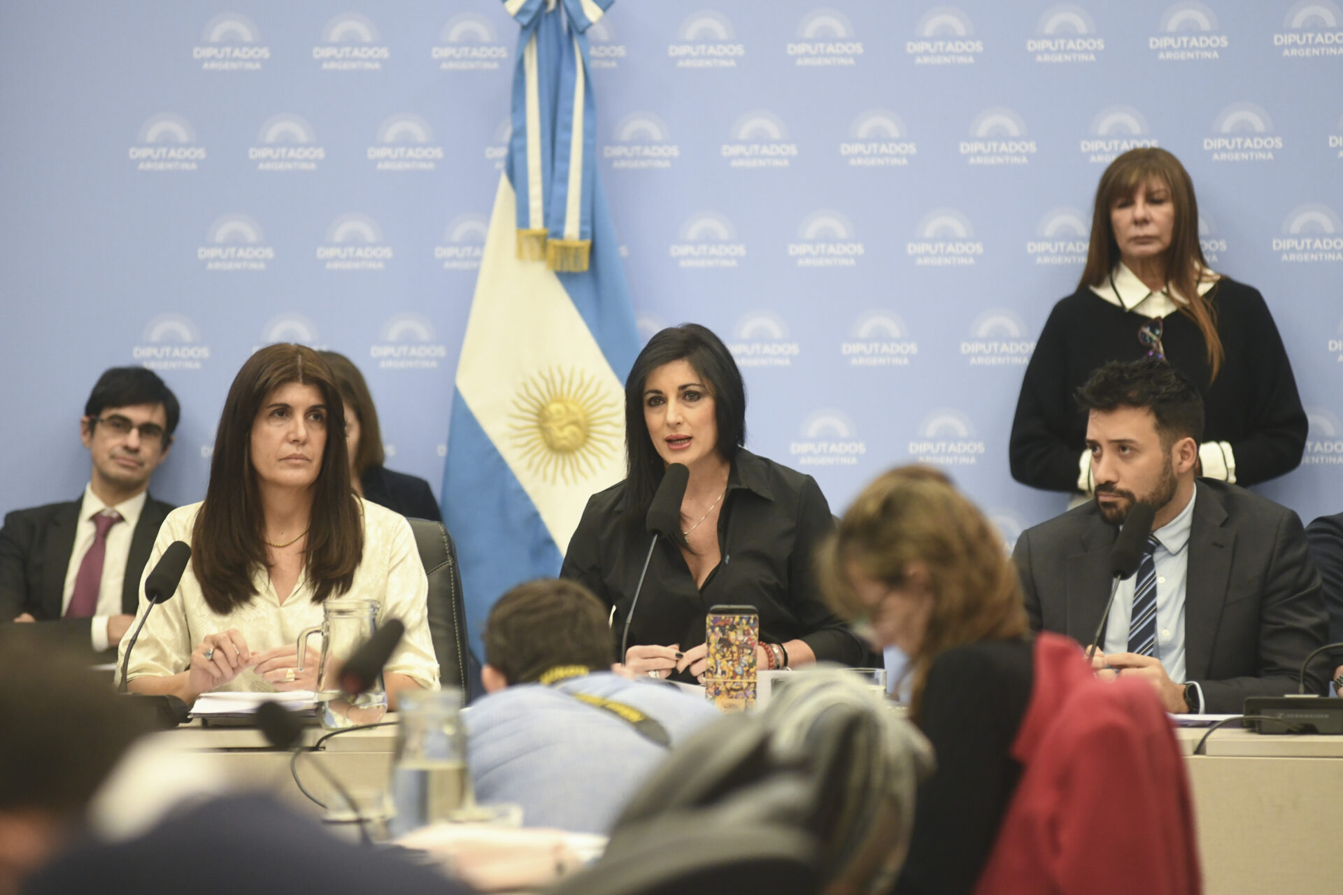 Tratado de Patentes: el oficialismo logró dictamen de mayoría en Diputados