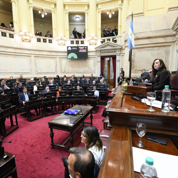 Ley de armas, pliegos judiciales y tratados: el Senado tuvo una agenda&hellip;