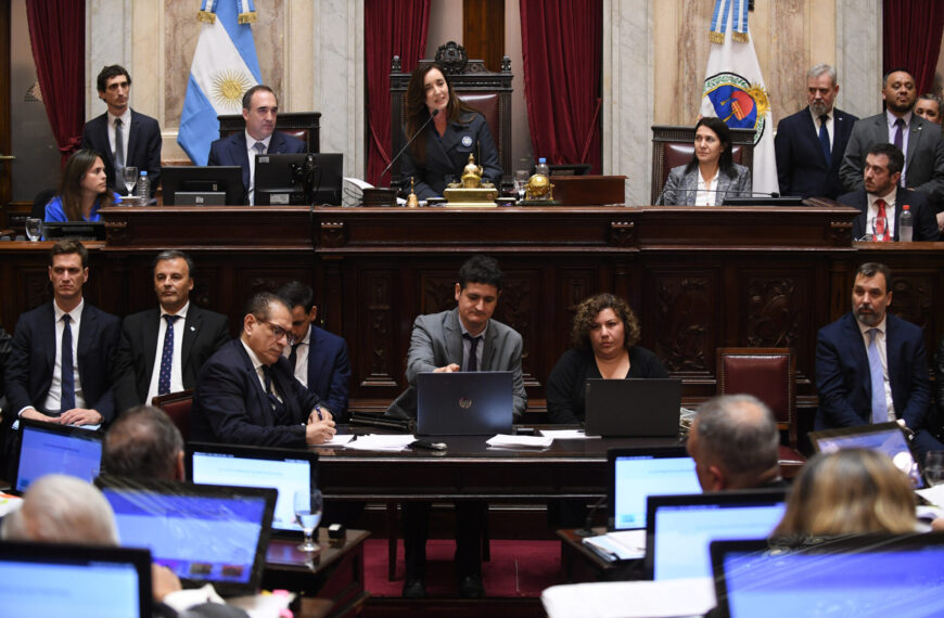 Sesión del Senado: tratarán el acuerdo por deuda y armas de fuego