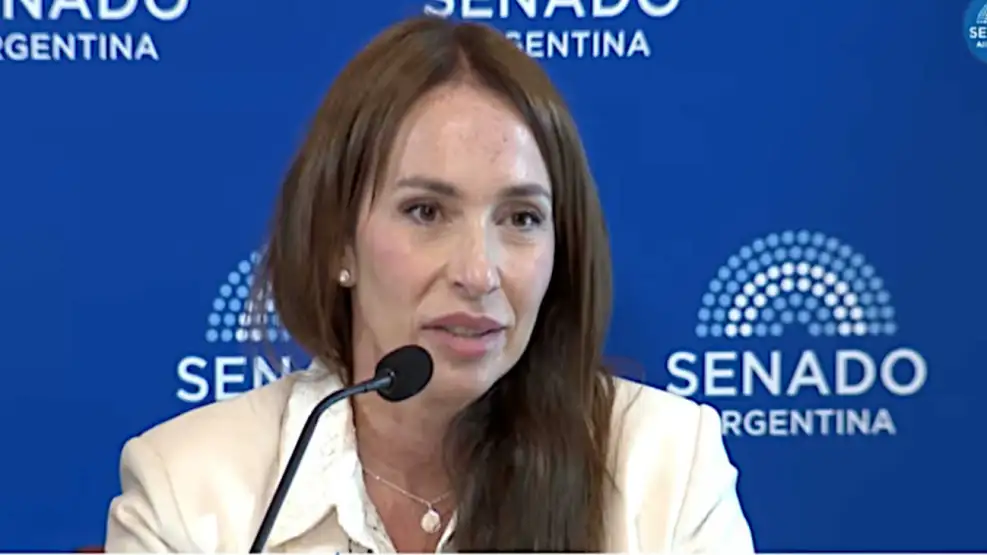 Senado aprobó el pliego de Michelli pese al rechazo de Milei