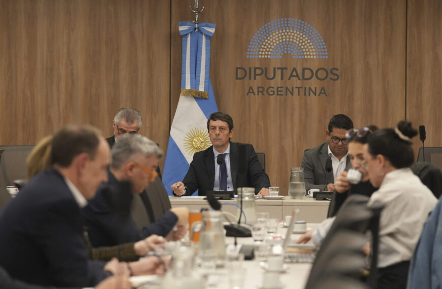 Inocencia Fiscal: una comisión de Diputados analizó su aplicación